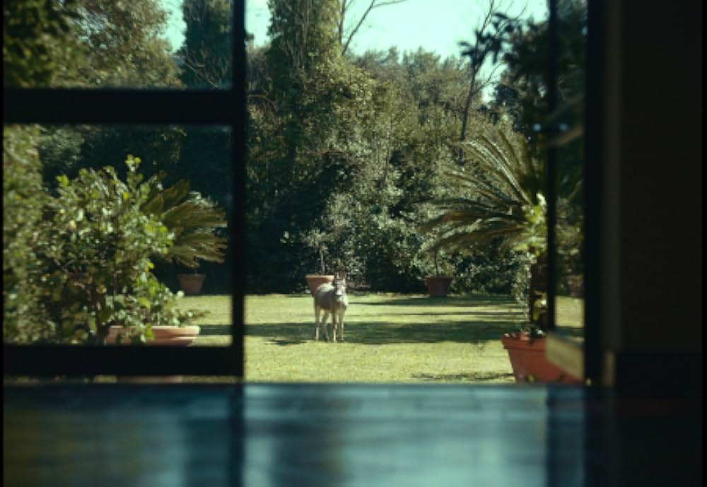 EO イーオーの画像