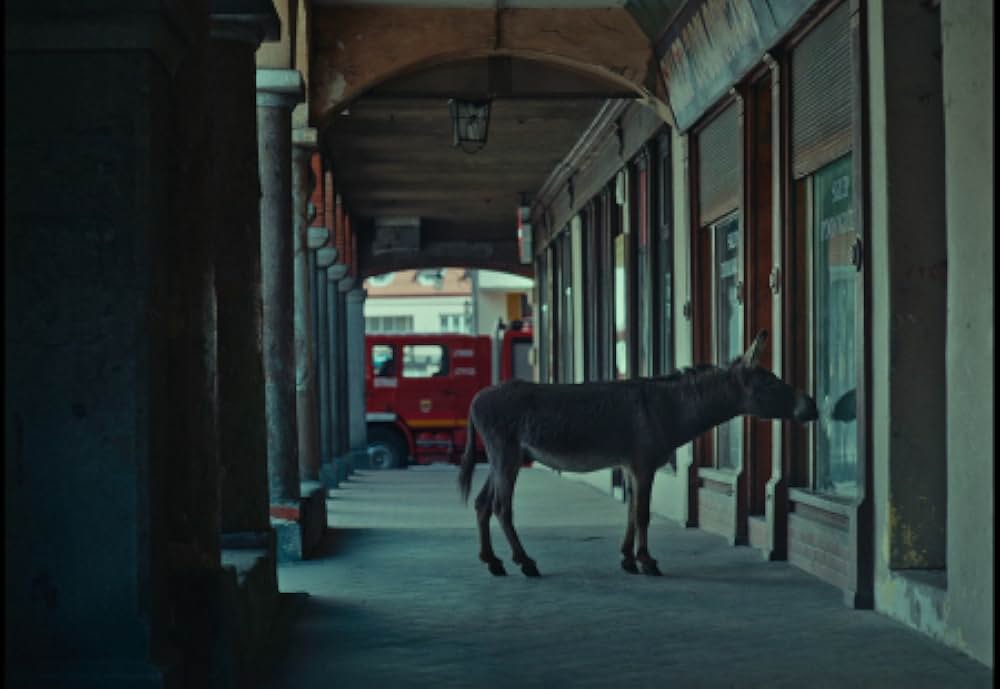 EO イーオーの画像