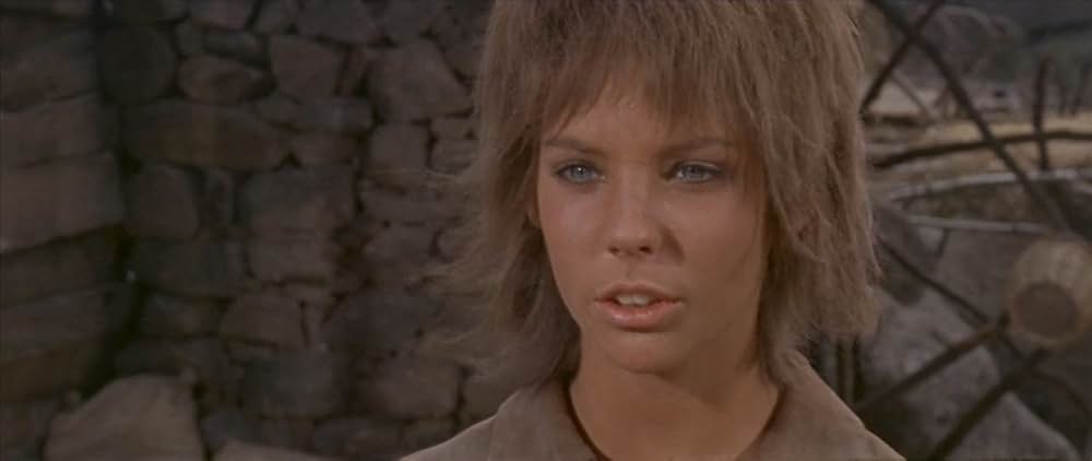 血斗のジャンゴの画像