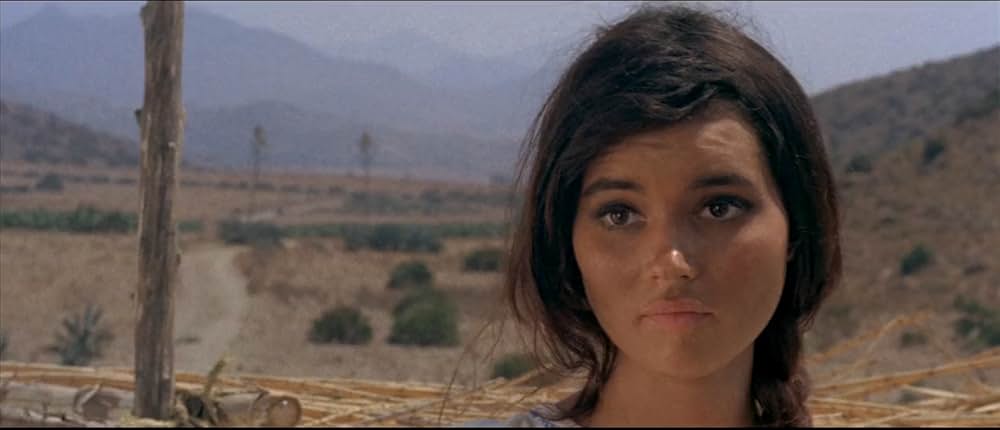 血斗のジャンゴの画像