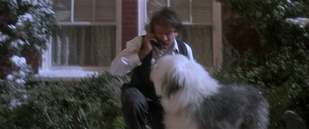 「フック」ロビン・ウィリアムズの画像