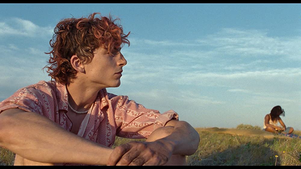 ボーンズ アンド オールの画像