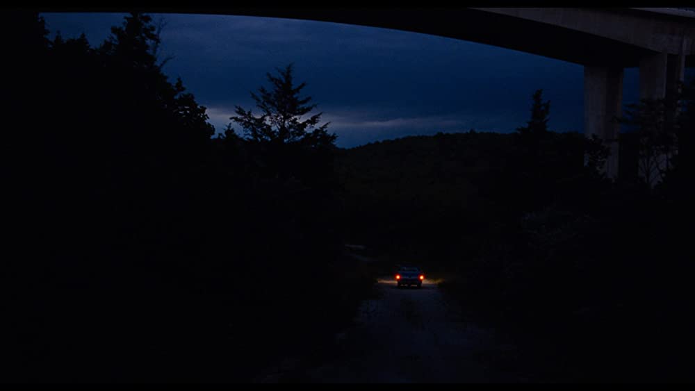 ボーンズ アンド オールの画像