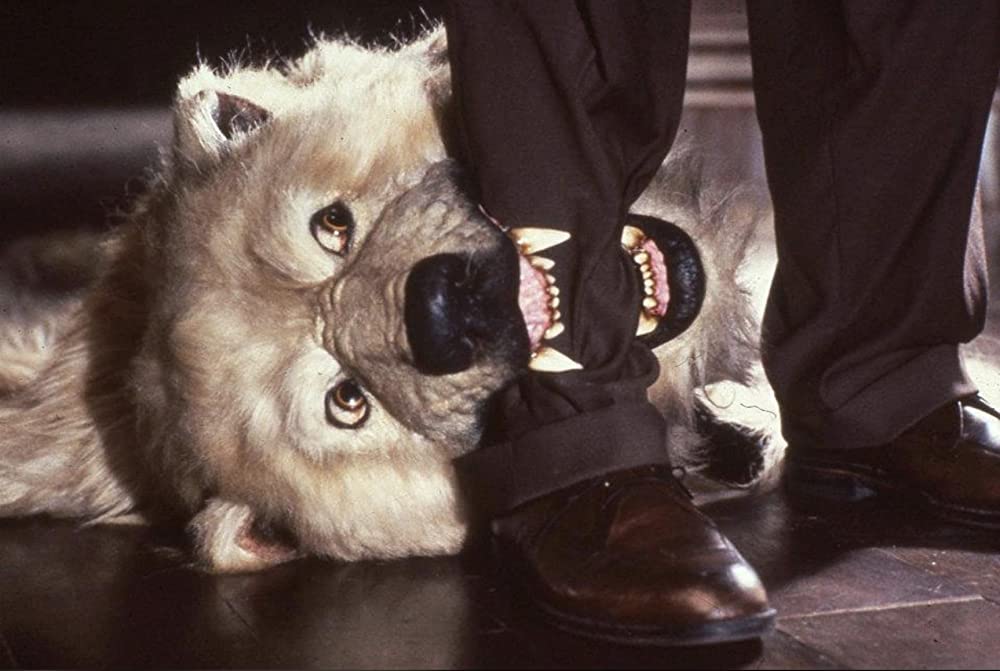 「アダムス・ファミリー」ダン・ヘダヤの画像