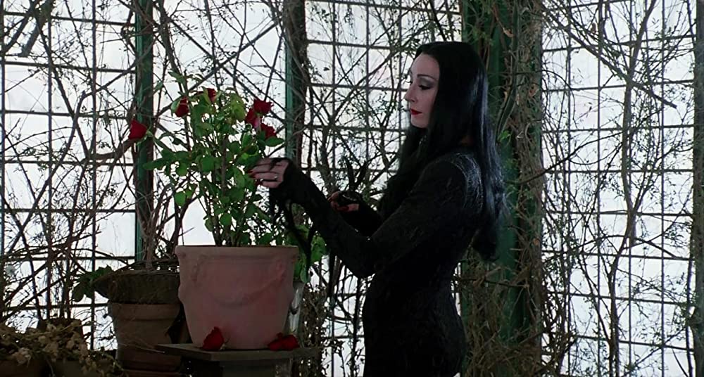 アダムス・ファミリーの画像