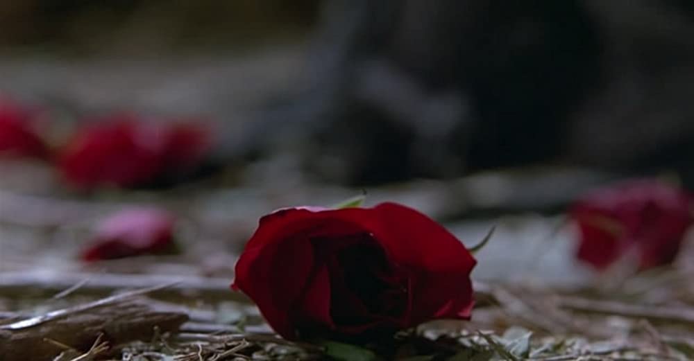 アダムス・ファミリーの画像