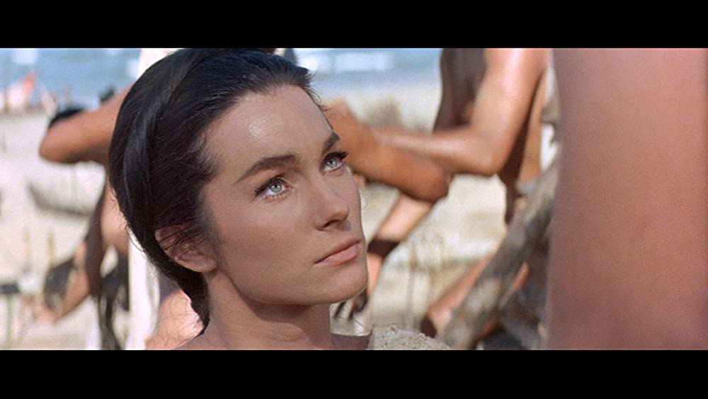 太陽の帝王の画像