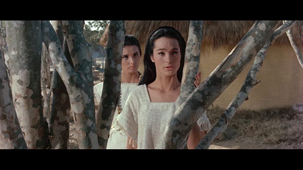 太陽の帝王の画像