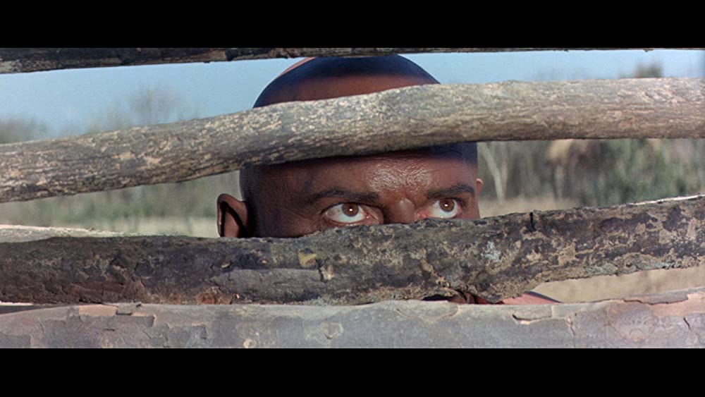 太陽の帝王の画像