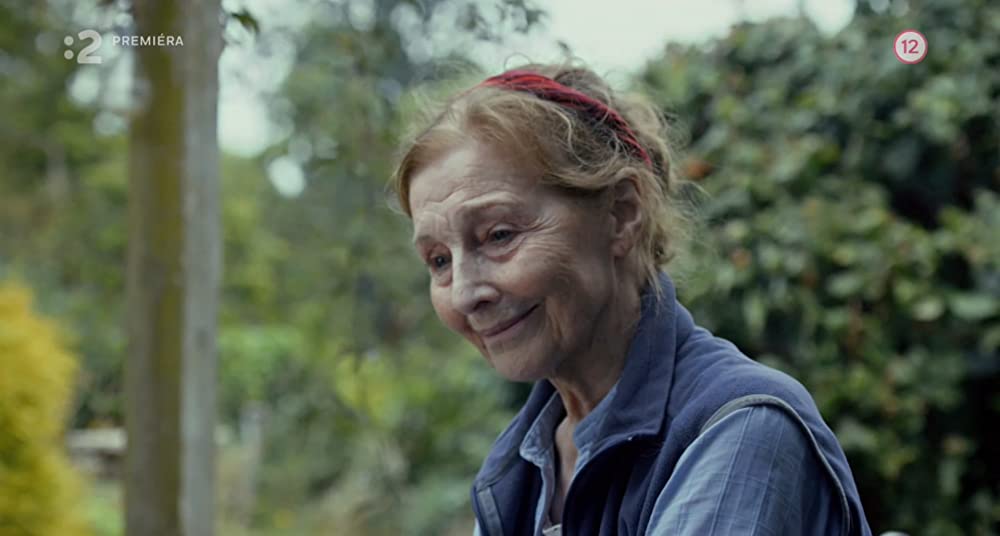 いつかの君にもわかることの画像