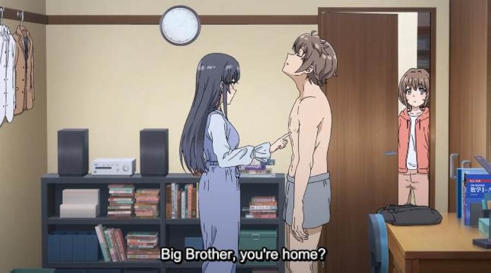 青春ブタ野郎はおでかけシスターの夢を見ないの画像