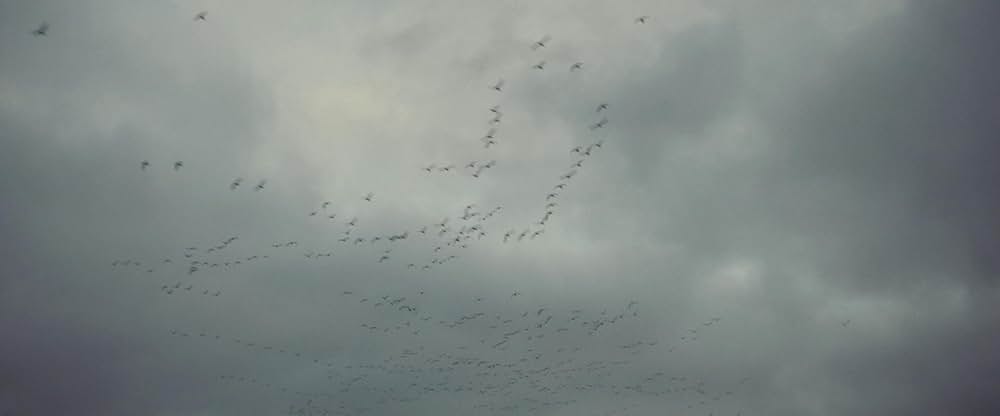 ユー・アー・ノット・マイ・マザーの画像