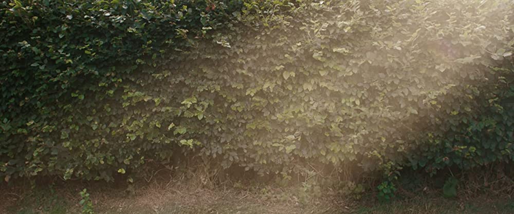 ベニー・ラブズ・ユーの画像