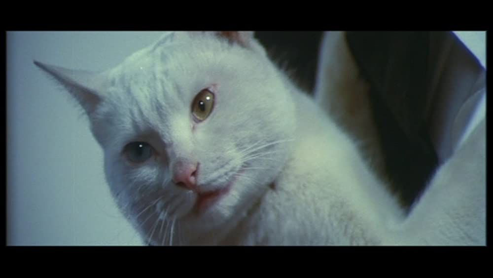 「聖獣学園」の画像