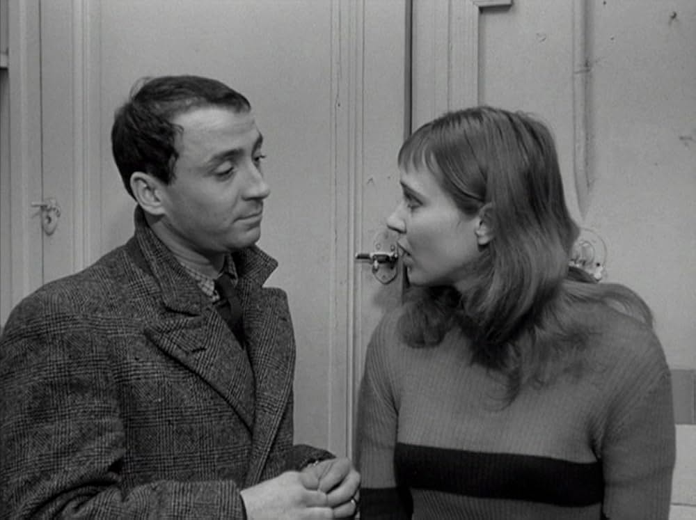 はなればなれにの画像