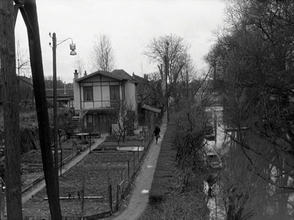 はなればなれにの画像