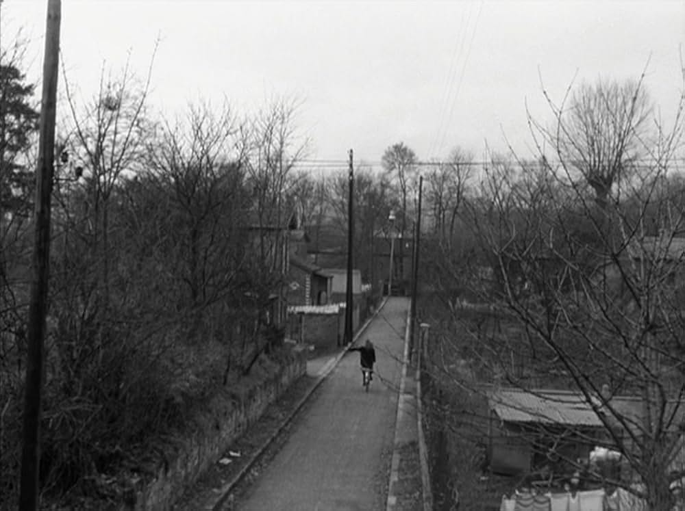 はなればなれにの画像