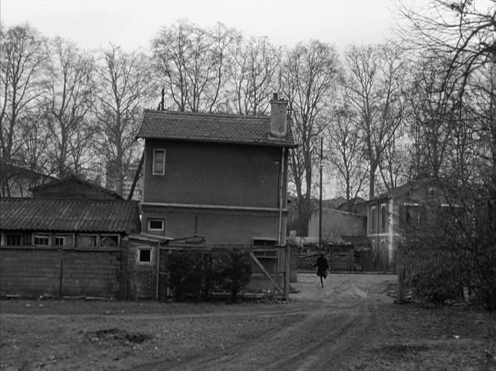 はなればなれにの画像