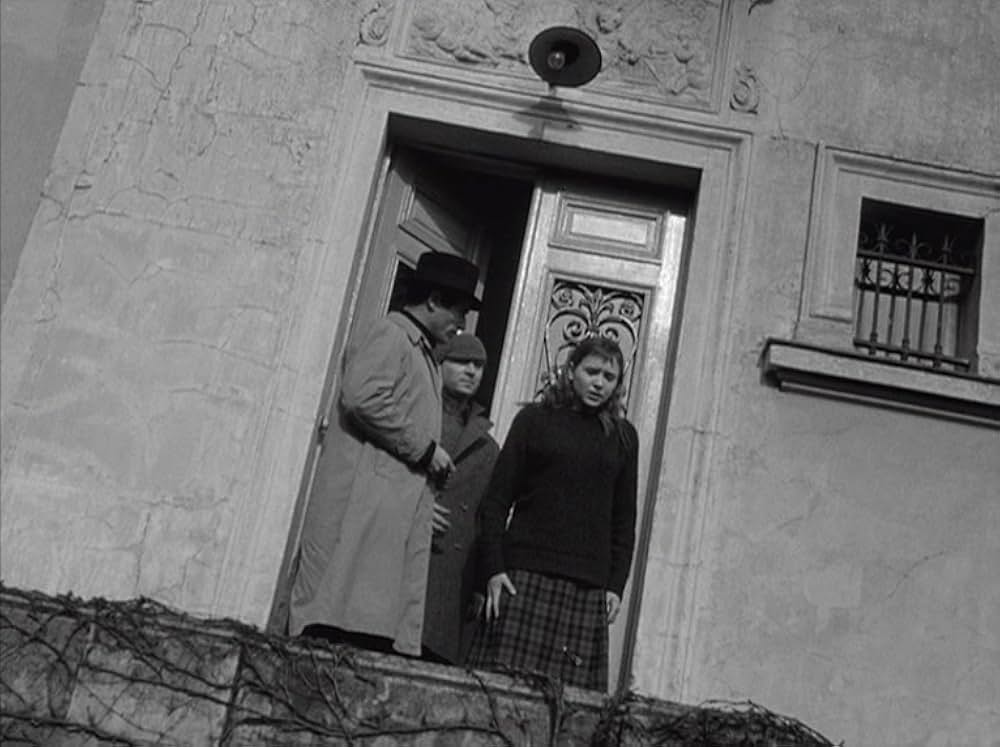 はなればなれにの画像