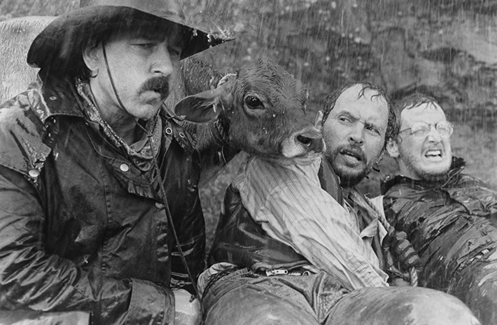 シティ・スリッカーズの画像