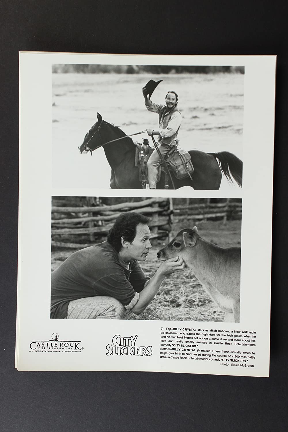 シティ・スリッカーズの画像