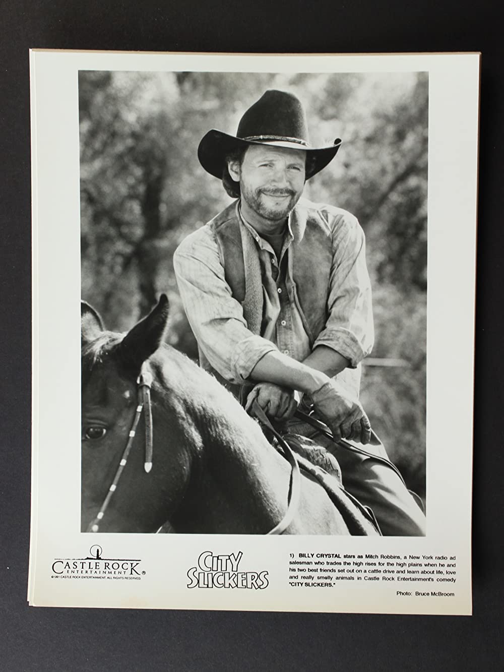 シティ・スリッカーズの画像