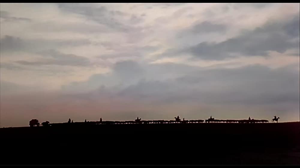 シティ・スリッカーズの画像