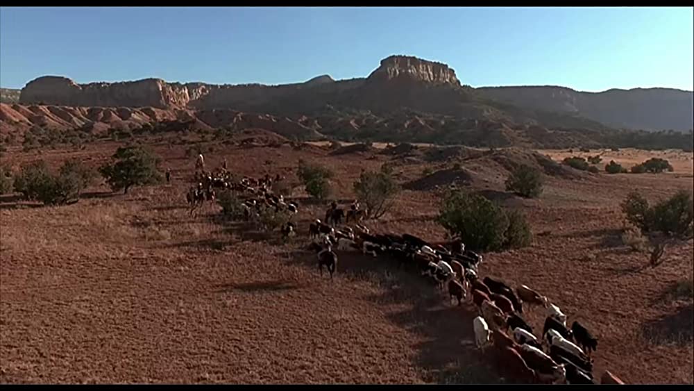 シティ・スリッカーズの画像