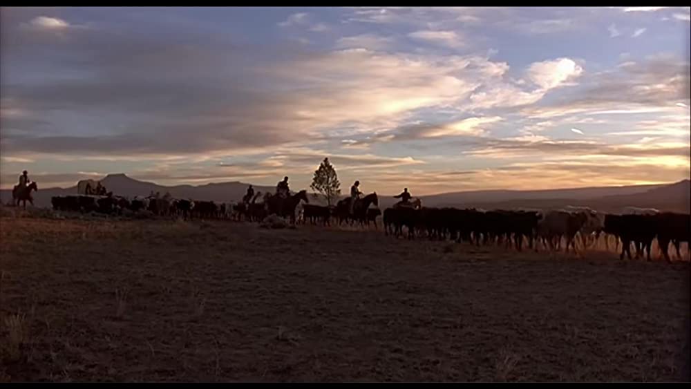 シティ・スリッカーズの画像