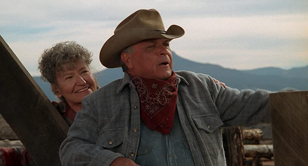 シティ・スリッカーズの画像