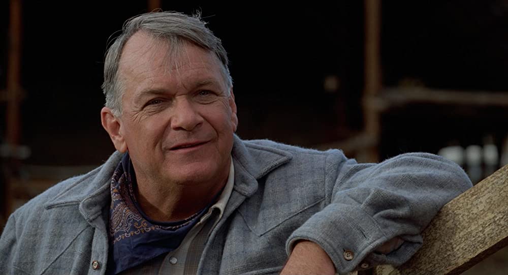 シティ・スリッカーズの画像