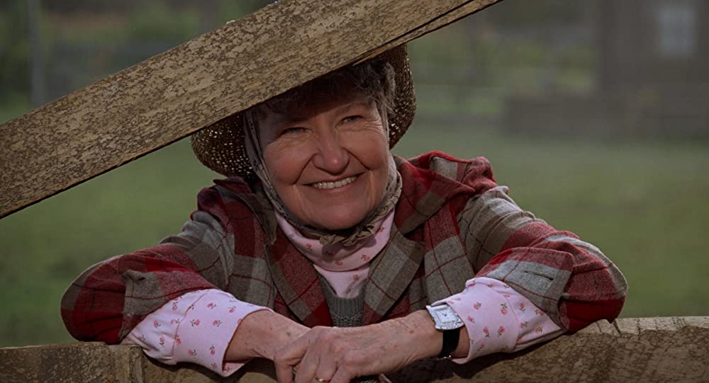 シティ・スリッカーズの画像