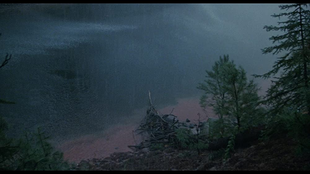 シティ・スリッカーズの画像