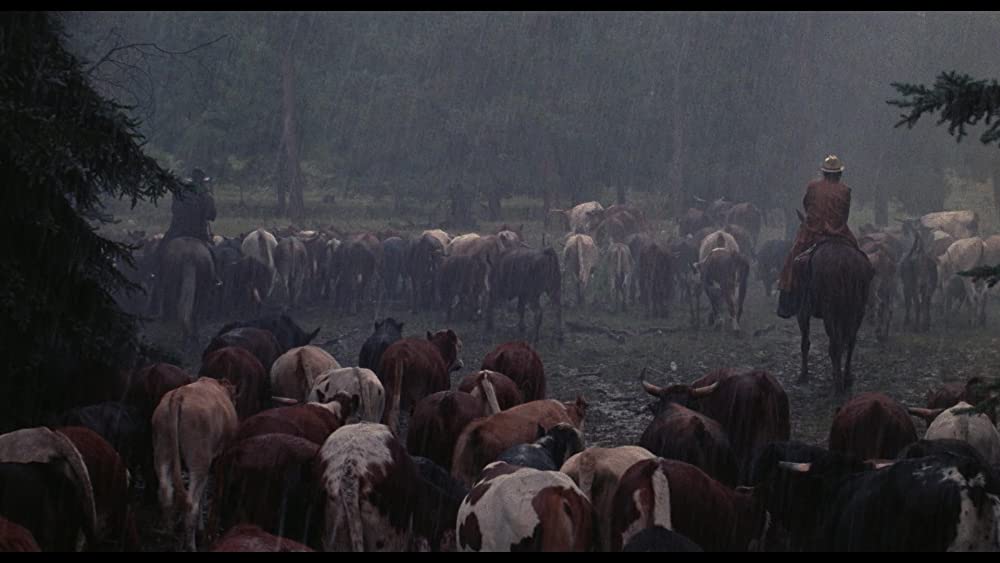 シティ・スリッカーズの画像