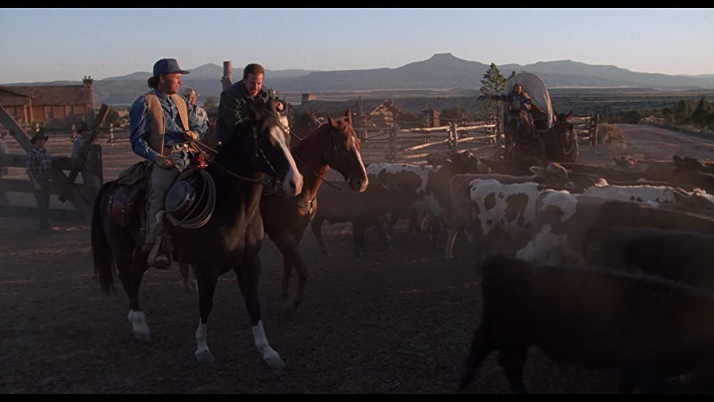 シティ・スリッカーズの画像