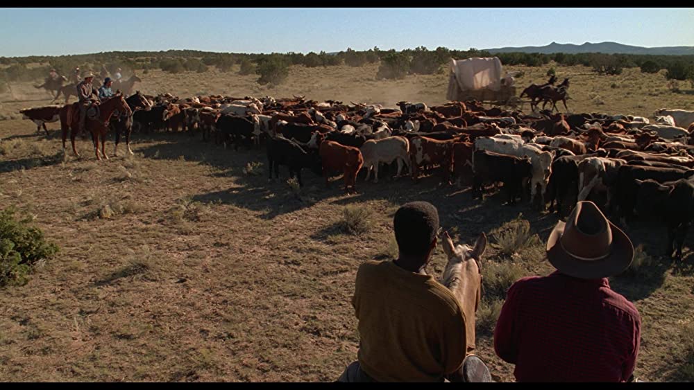 シティ・スリッカーズの画像