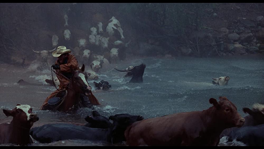 シティ・スリッカーズの画像