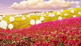 バースデー・ワンダーランドの画像