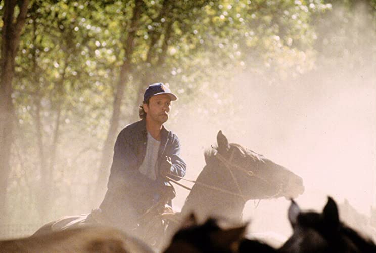 シティ・スリッカーズ2／黄金伝説を追えの画像