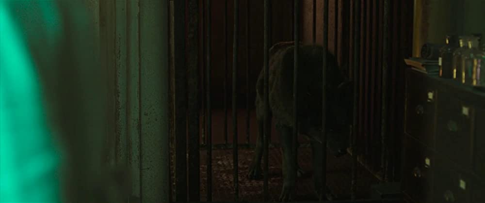 オオカミ狩りの画像