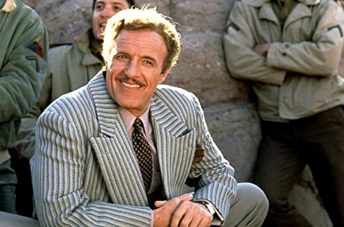 フォー・ザ・ボーイズの画像