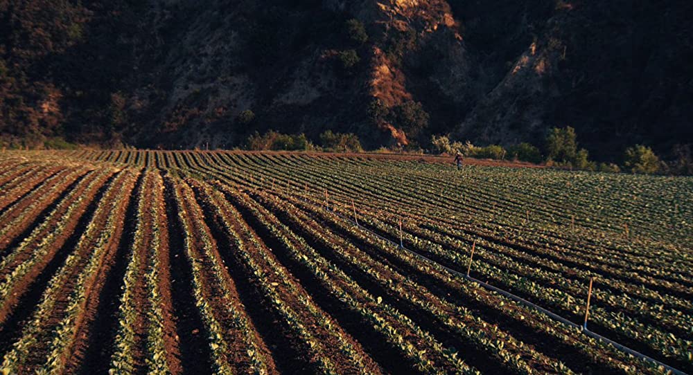 セカンド・カミングの画像