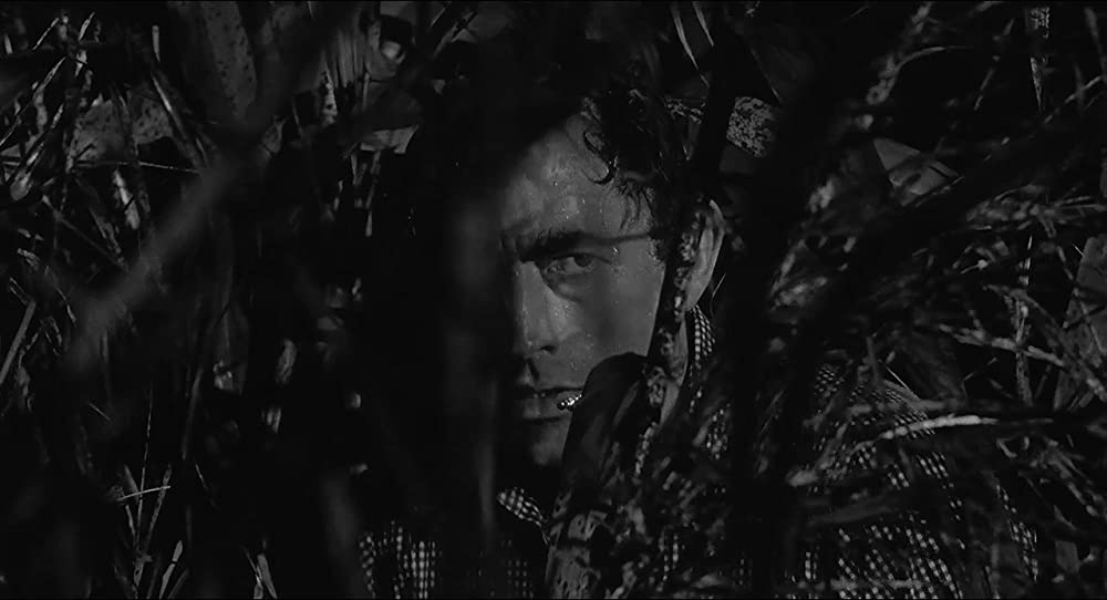 「恐怖の岬／ケープ・フィアー」グレゴリー・ペックの画像