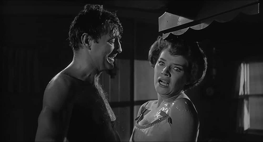 「恐怖の岬／ケープ・フィアー」ロバート・ミッチャム & ポリー・バーゲンの画像