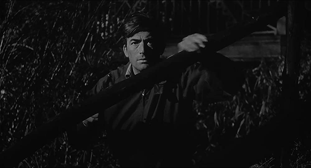 「恐怖の岬／ケープ・フィアー」グレゴリー・ペックの画像