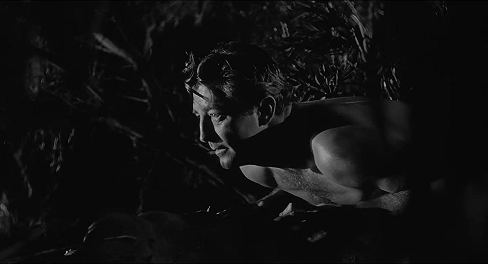 「恐怖の岬／ケープ・フィアー」ロバート・ミッチャムの画像