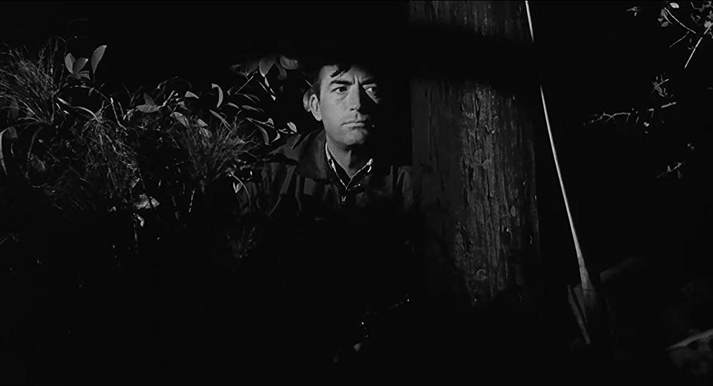 「恐怖の岬／ケープ・フィアー」グレゴリー・ペックの画像