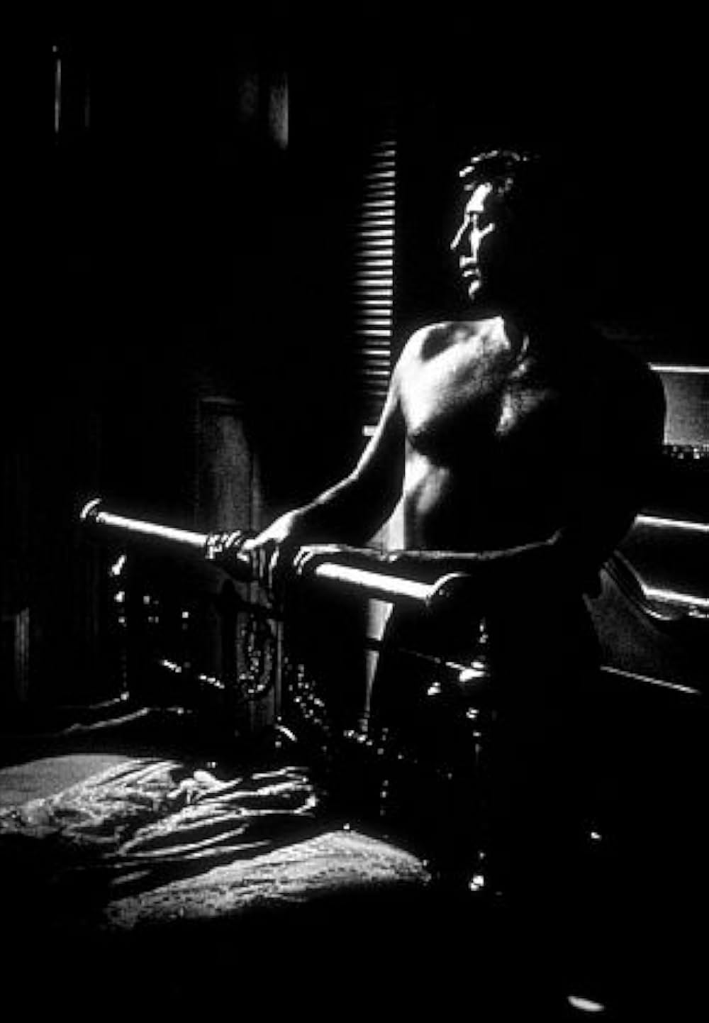 「恐怖の岬／ケープ・フィアー」の画像