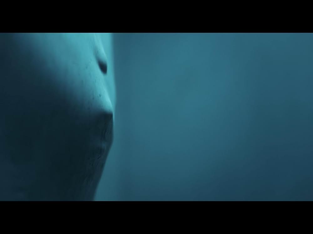 ストレージ24の画像