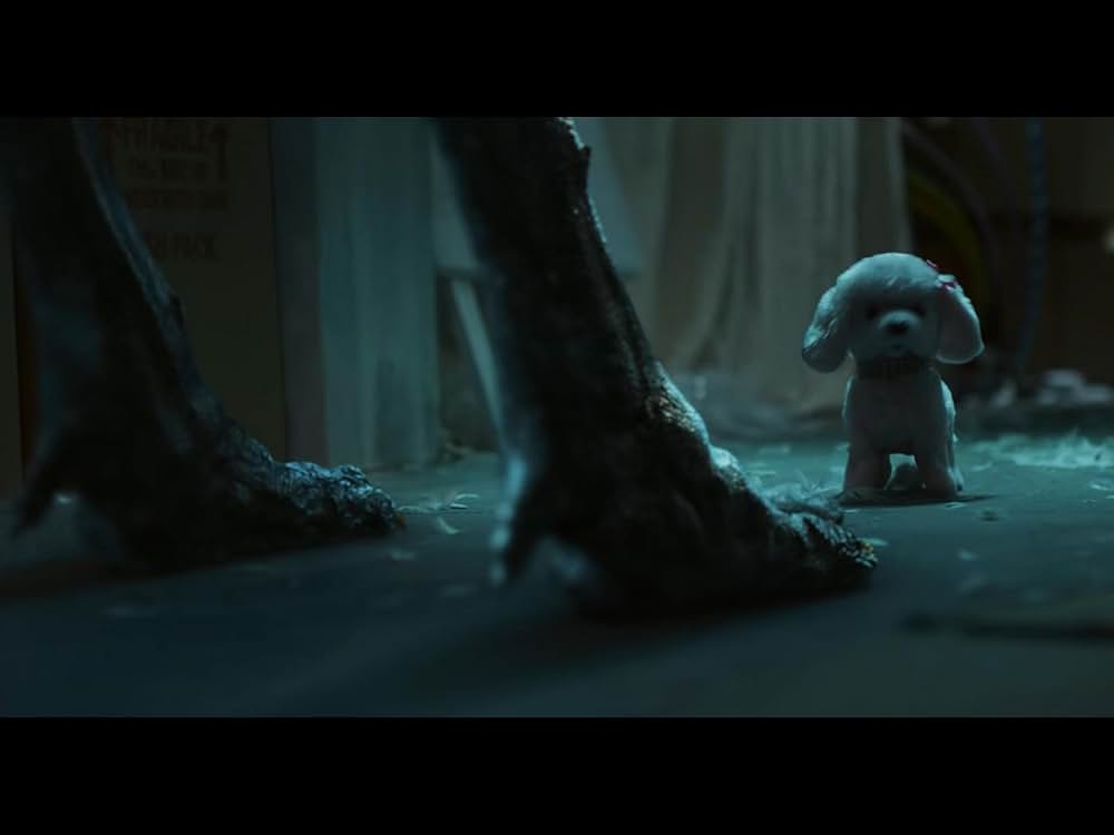 ストレージ24の画像